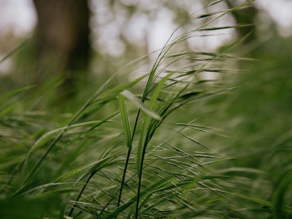 Czy silny wiatr może uszkodzić zadaszenie tarasu? Sprawdź, dlaczego konstrukcje aluminiowe są całkowicie odporne na wiatr i stanowią najtrwalsze rozwiązanie dla tarasów.